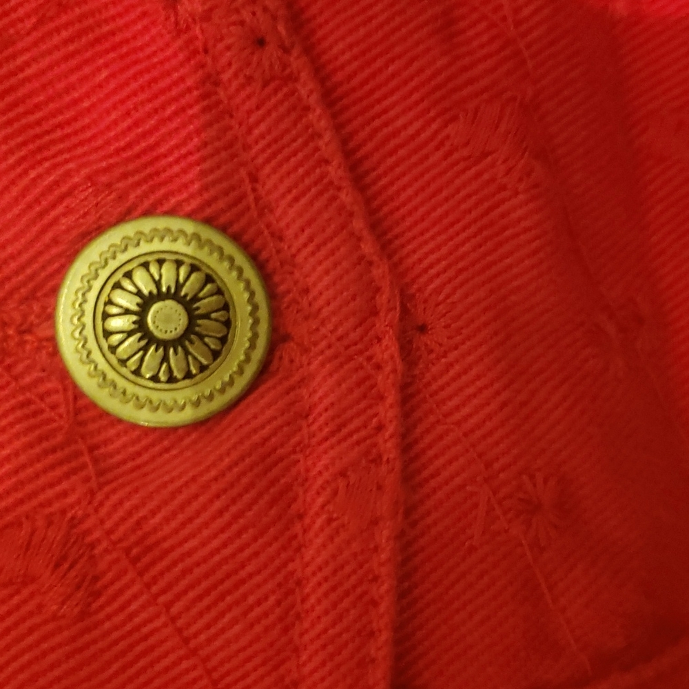 Red Vest - Picture 4 of 4